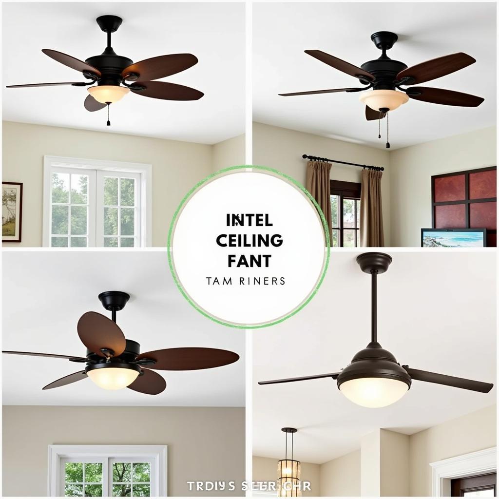 Different Ceiling Fan Styles Available in Fort Myers