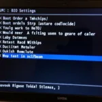 Checking BIOS Settings on a Laptop