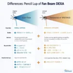 Comparison Chart Pencil vs Fan Beam DEXA