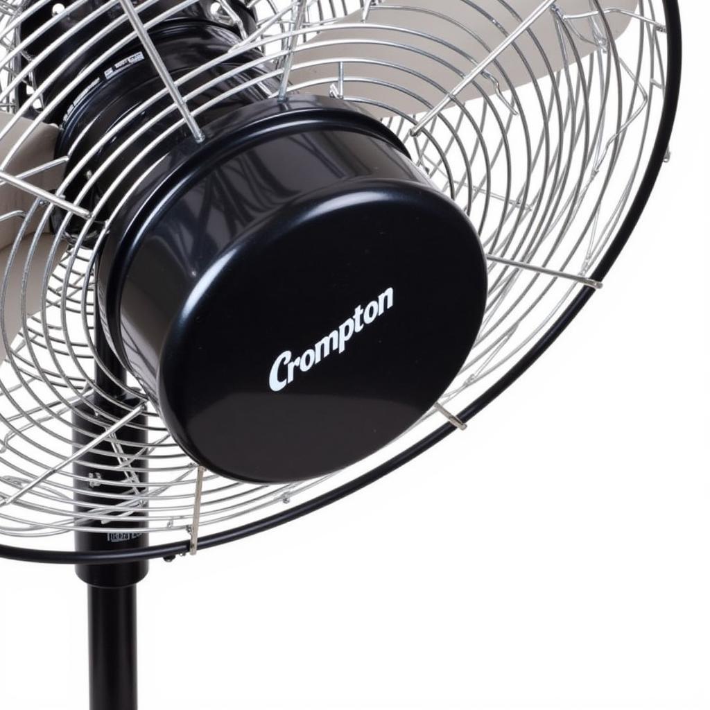 Crompton Pedestal Fan Black Oscillation Features