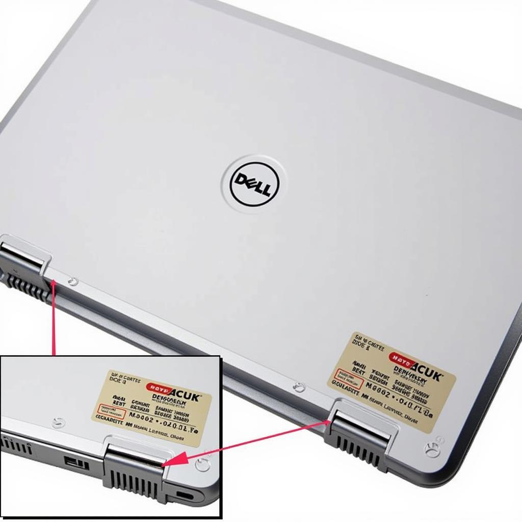 Identifying Your Dell Laptop Model