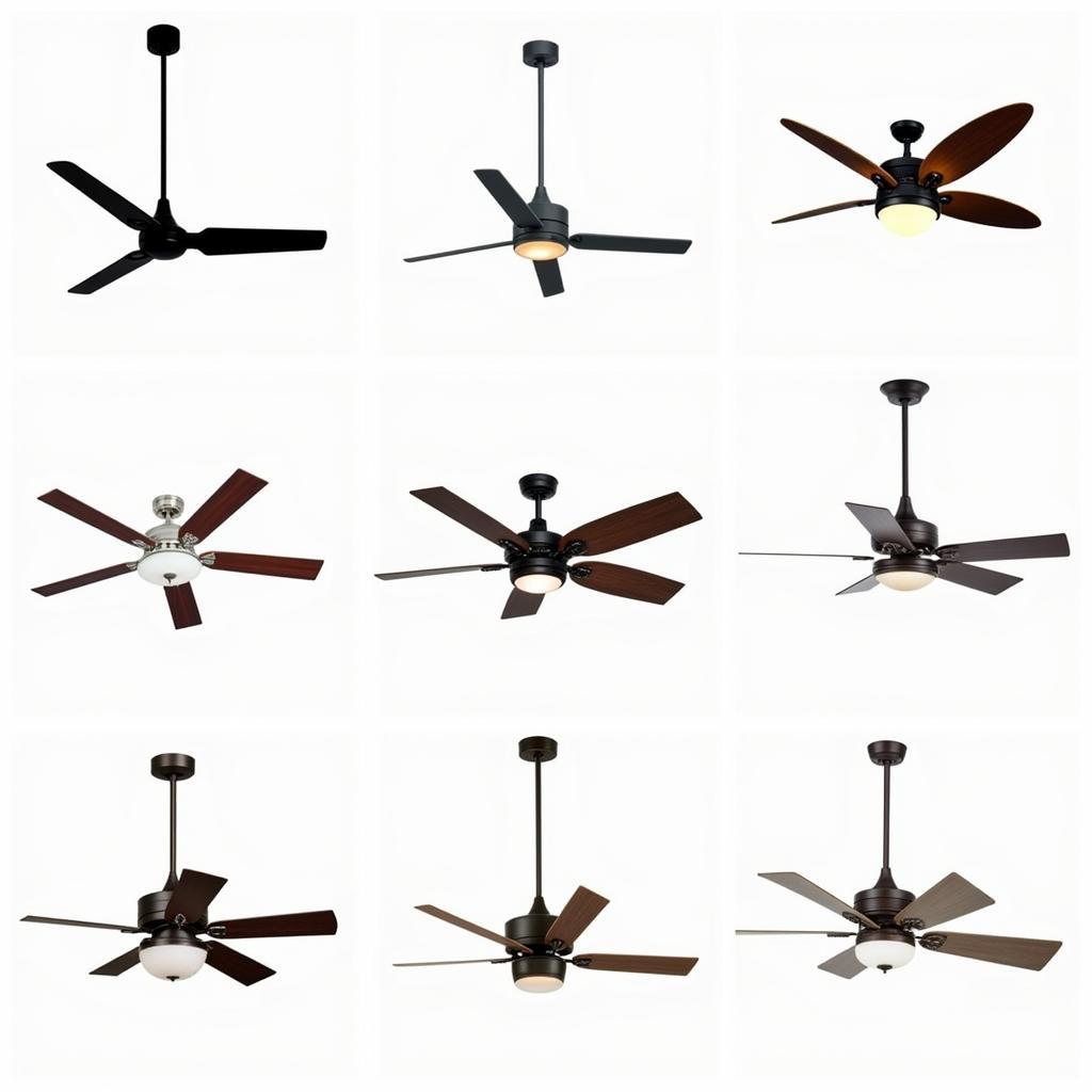 Variety of Ceiling Fan Styles for Different Room Aesthetics