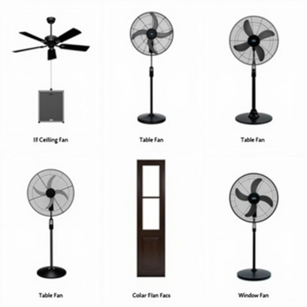 Various types of fans available in the market