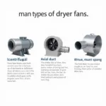 Different Types of Dryer Fans