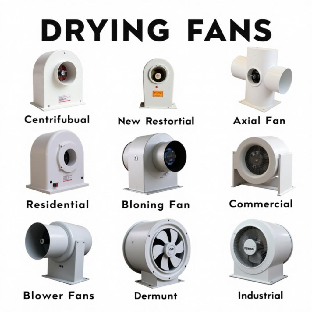 Different Types of Drying Fans in Boone, NC