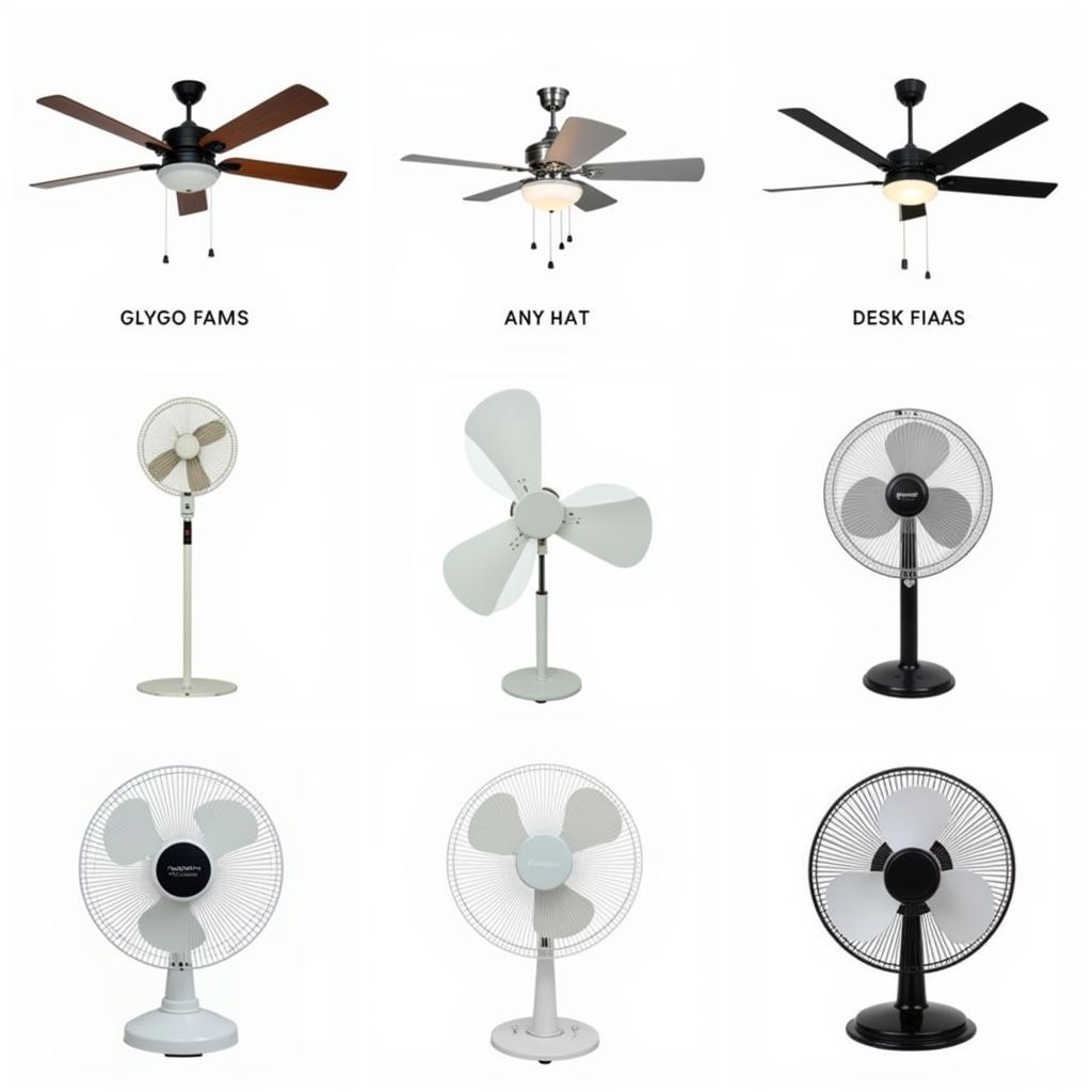 Energy Efficient Fan Options