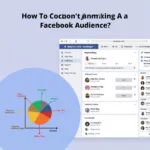 Facebook Audience Segmentation Example