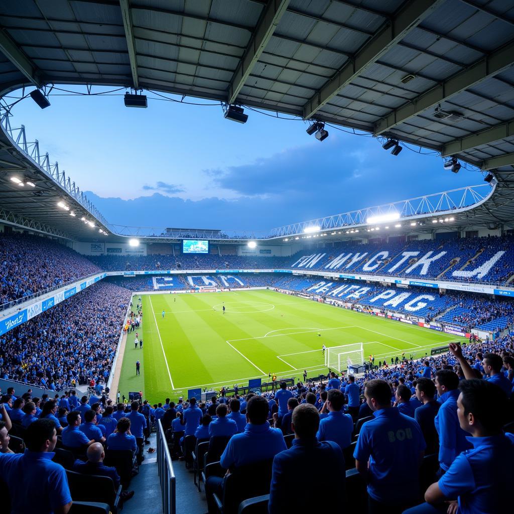 Nanjing City FC Stadium Atmosphere