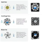 Foxconn Fan Types: Axial, Centrifugal, and Blower