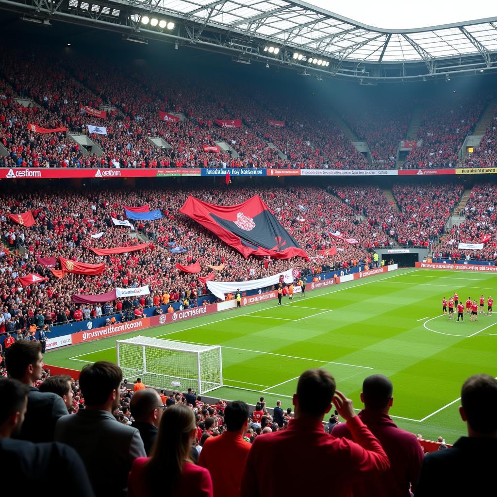 Hardcore Football Fans in the Stadium