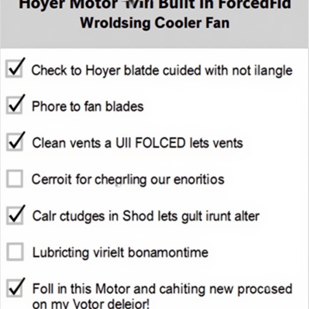 Hoyer Motor Maintenance Checklist