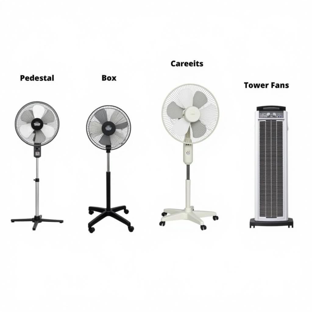 Lakewood Floor Fan Types