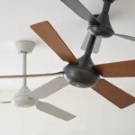 Modern Ceiling Fan Blade Designs