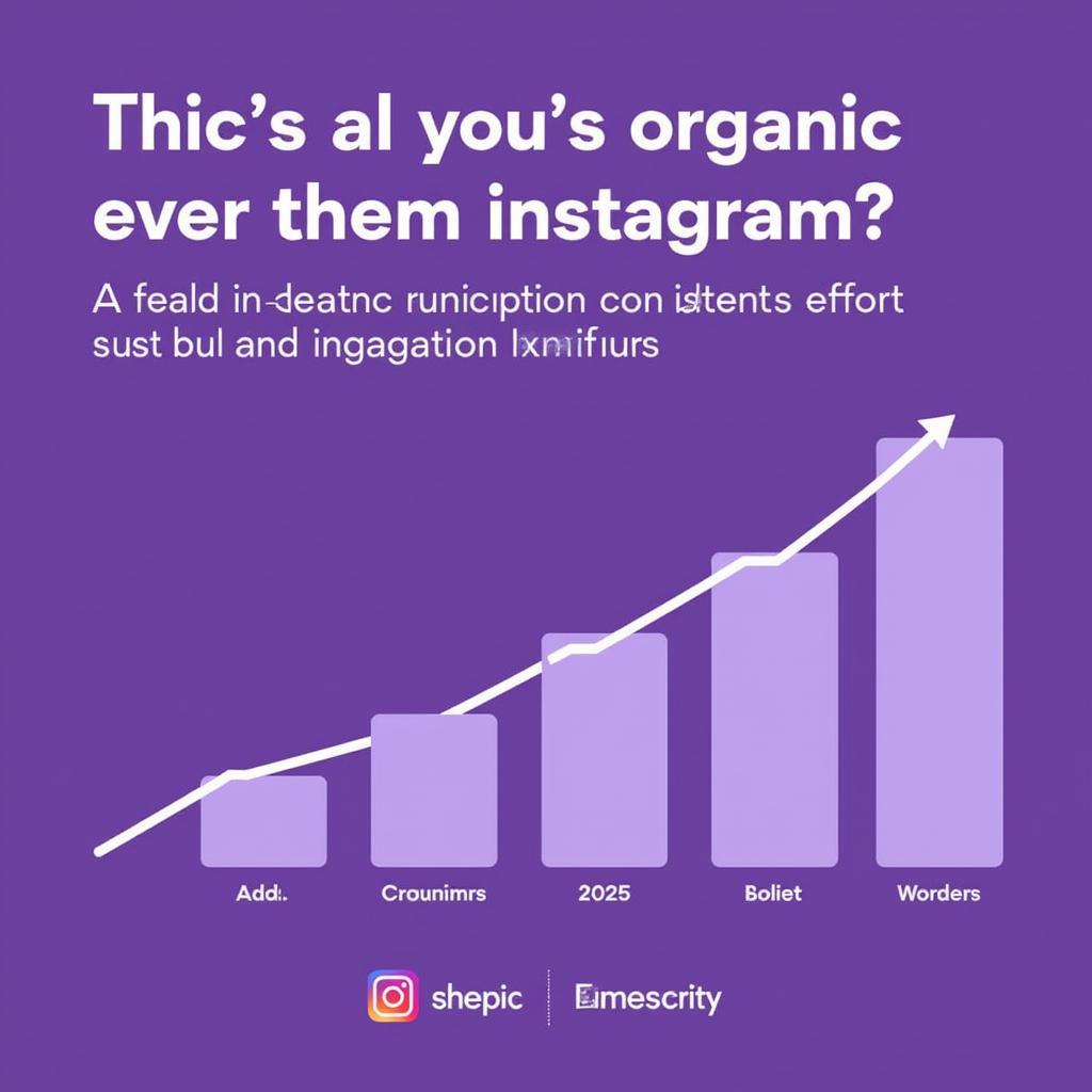 Organic Instagram Growth Strategies