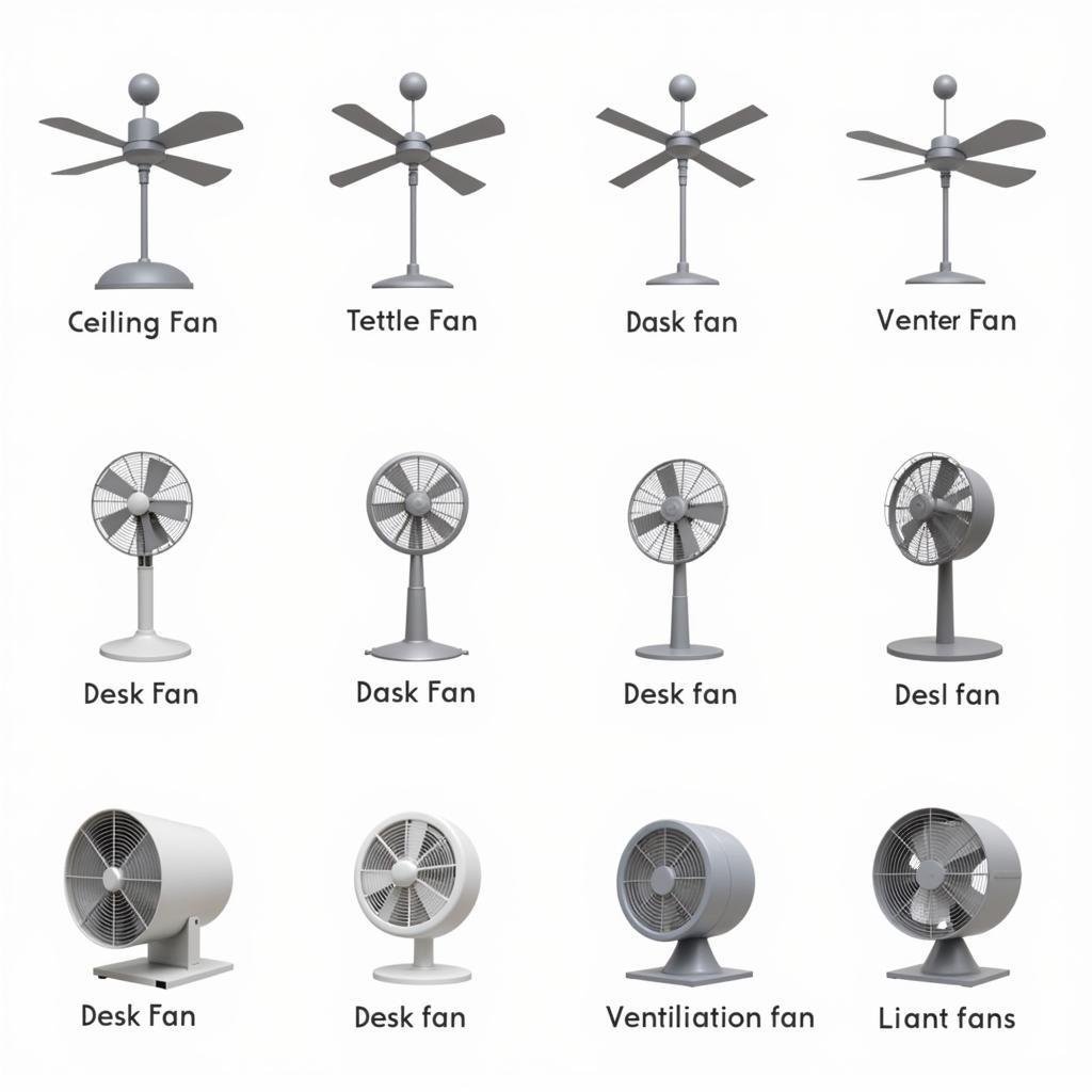 Different Types of Fans