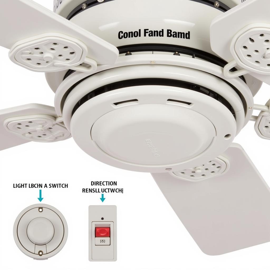 Understanding Ceiling Fan Features like Lighting, Speed Settings, and Reversible Motors