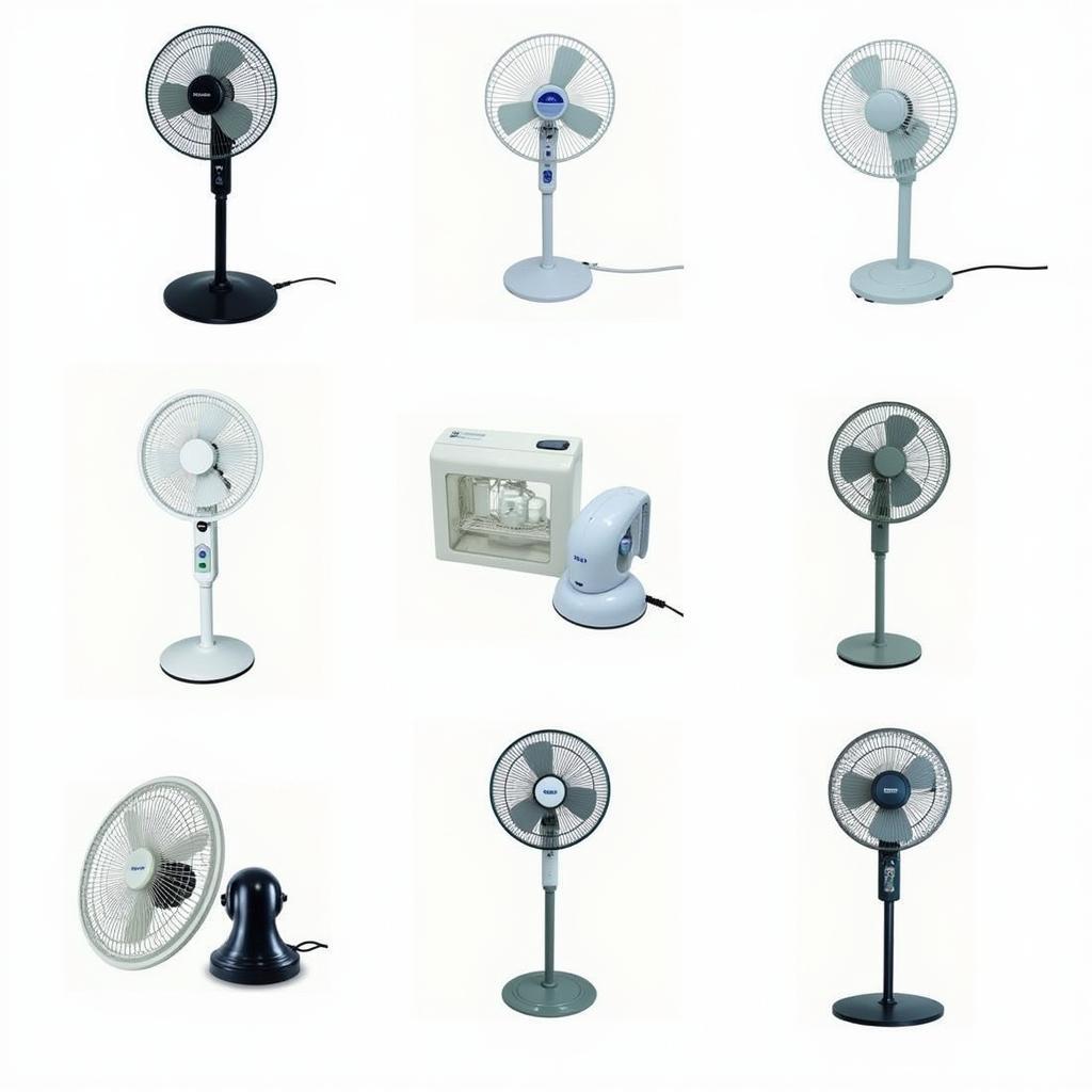 Variety of Japanese Electric Fans