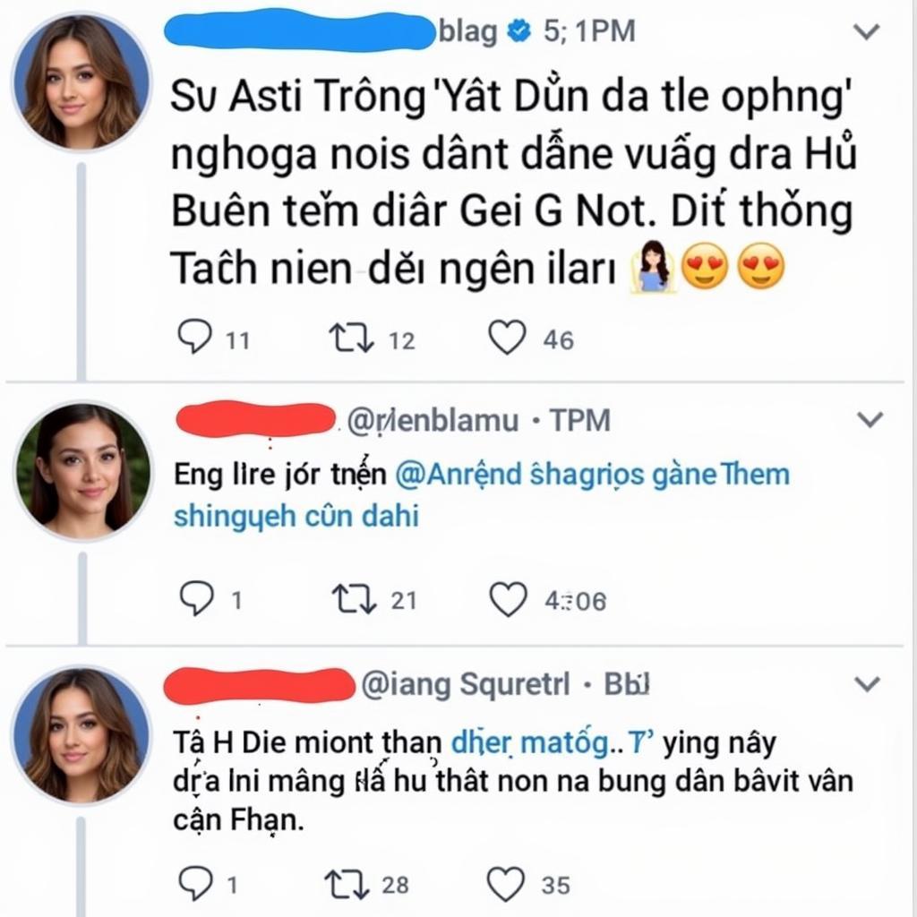 Vietnamese online discussion about Ariana Grande