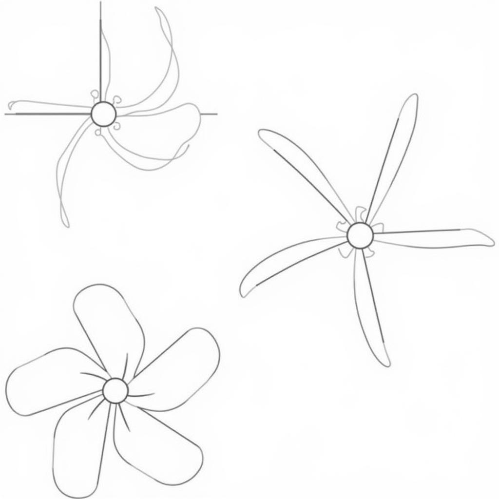 Basic Fan Shapes: Handheld, Folding, and Ceiling Fan Outlines