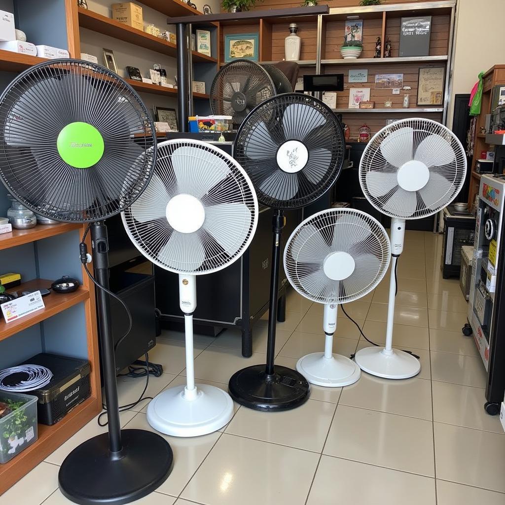 Buying Fans in Ho Chi Minh City