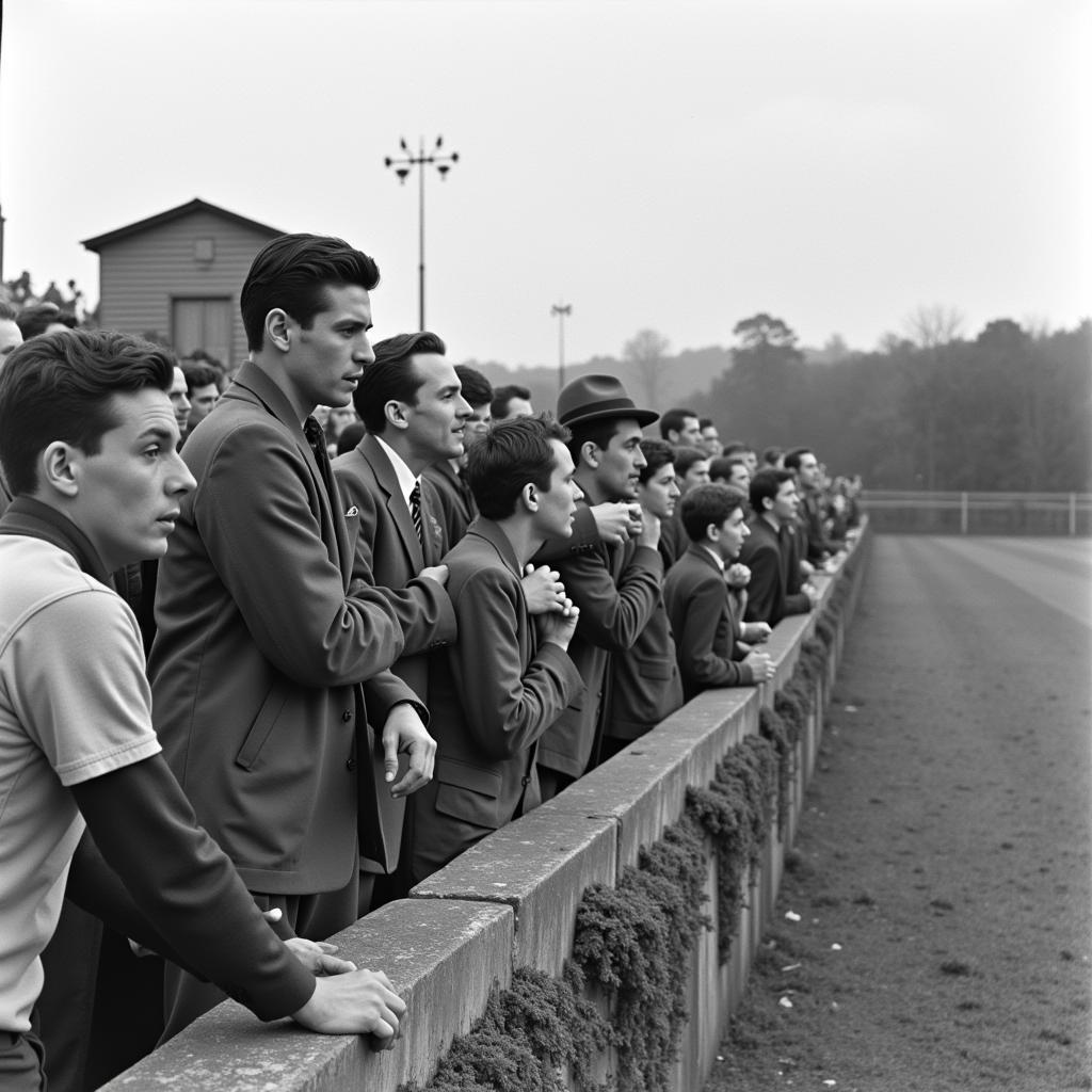 C.D. Tondela Fans in the Early Years