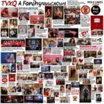 Examples of Cassiopeia Fan Projects