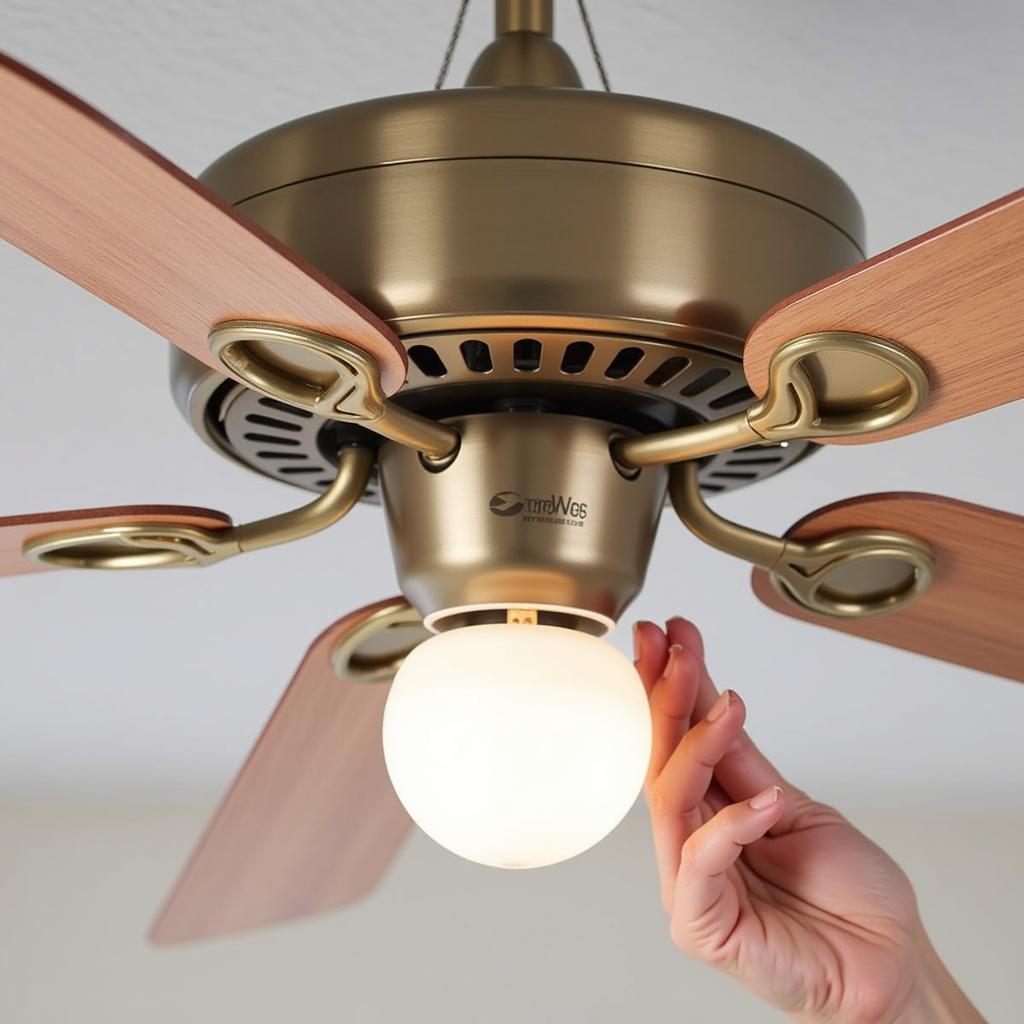 Costco Ceiling Fan Maintenance