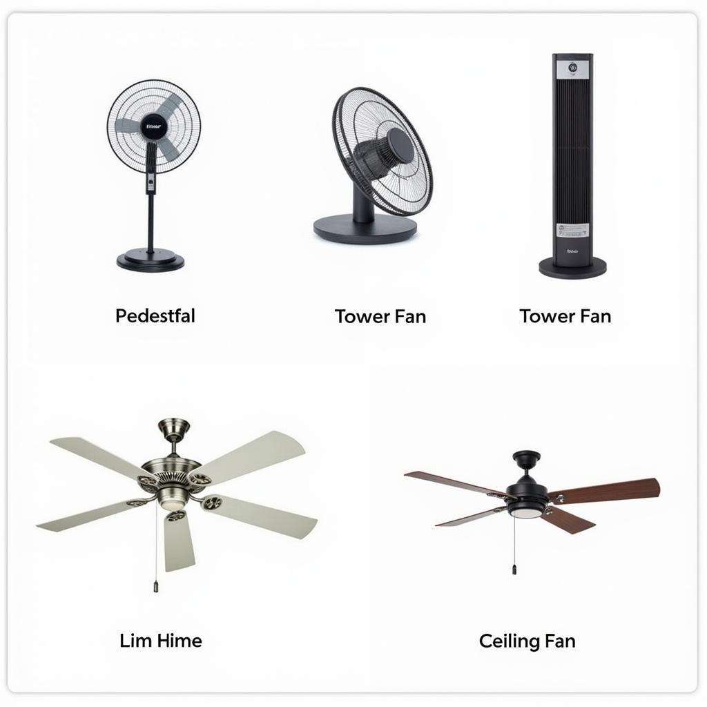 Different Types of Electric Fans