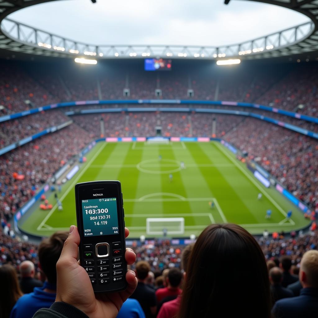 Fan with a Nokia phone watching a football match