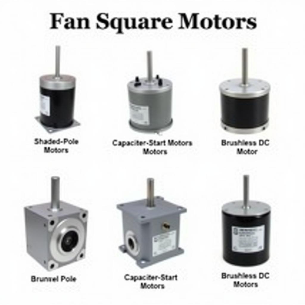 Different Types of Fan Square Motors