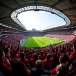 Football fans cheering in a packed stadium