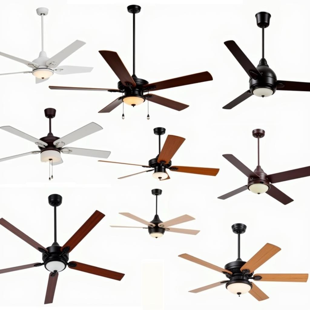 Overview of different hanging fan types