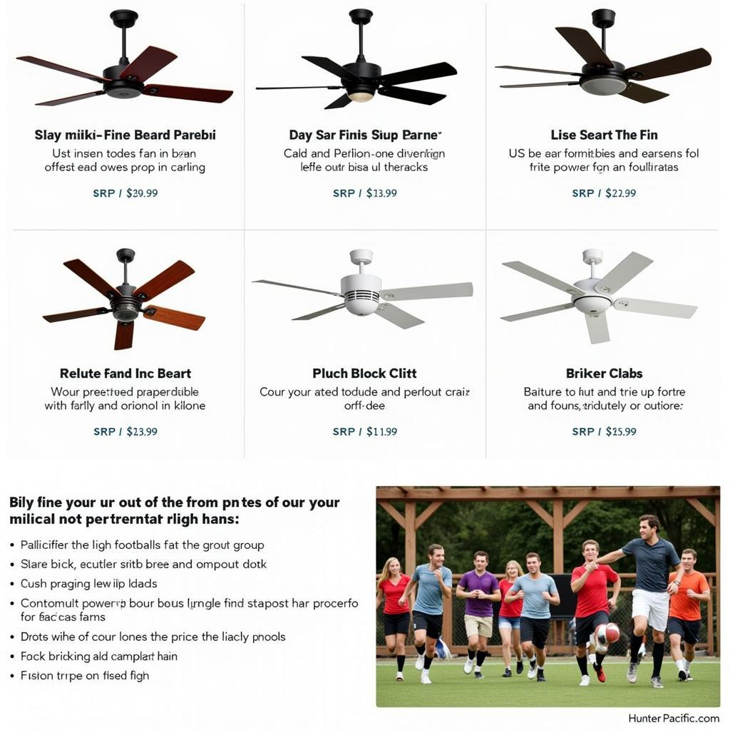 Hunter Pacific Fans for Outdoor Use