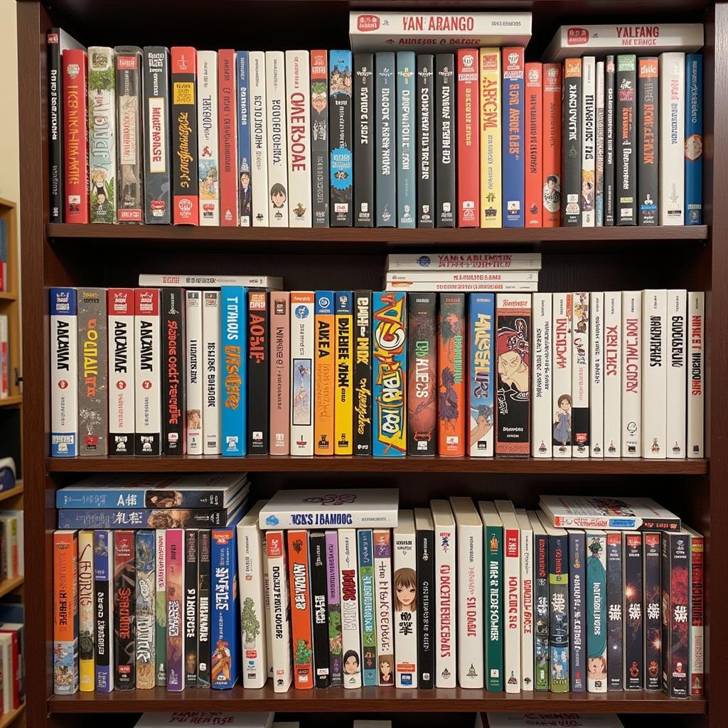 Manga Collection Display