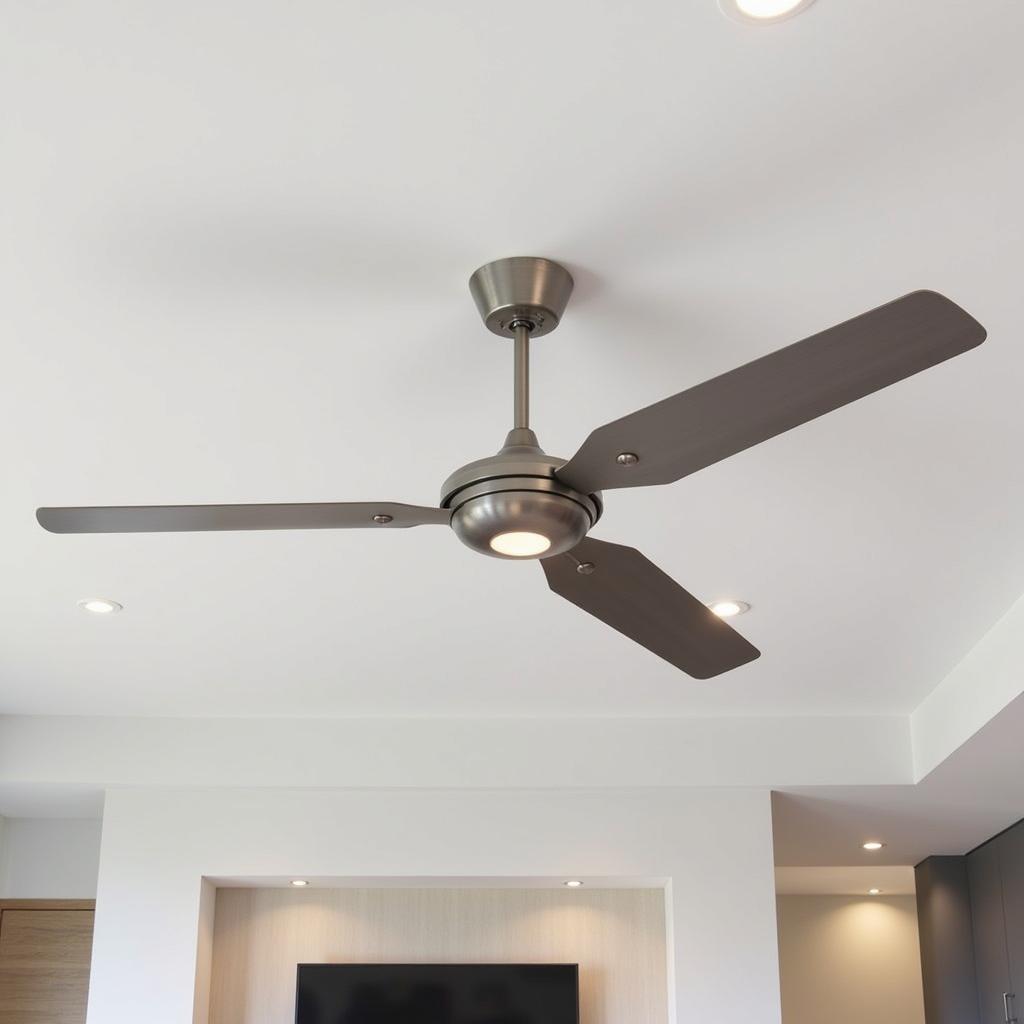 Modern Ceiling Fans Adelaide