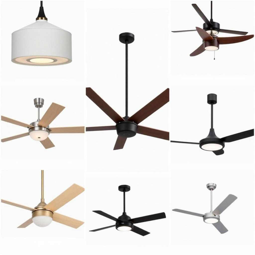 Modern Ceiling Fans Available for Direct Purchase