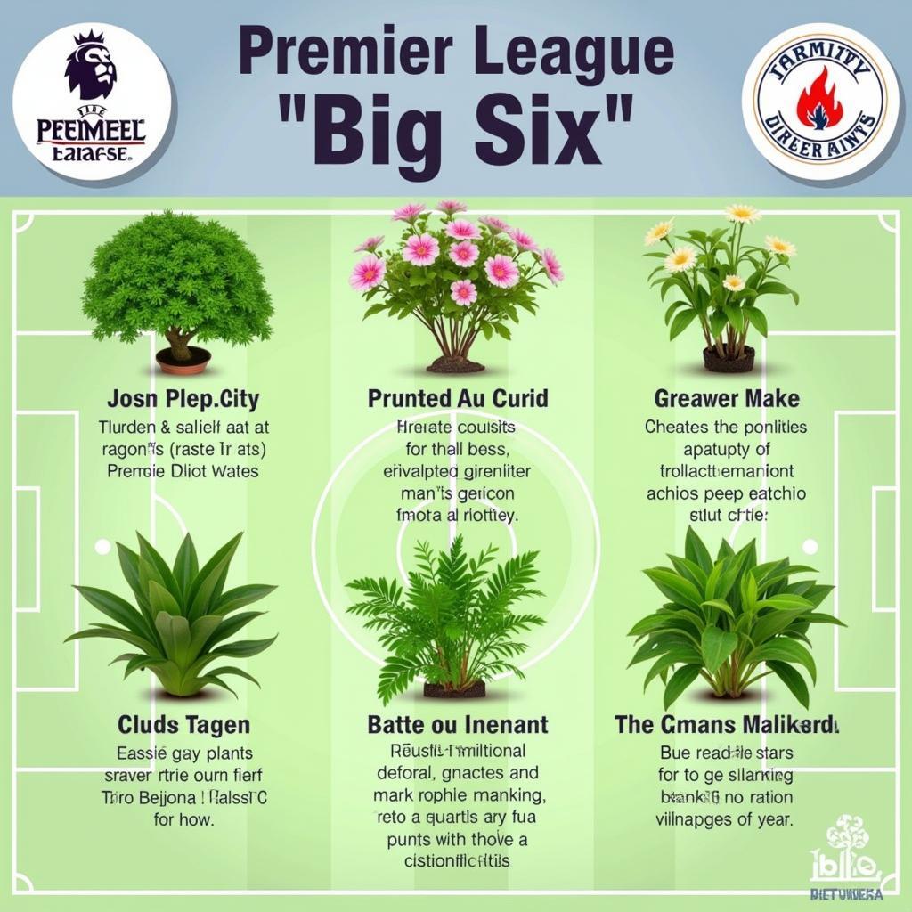 Premier League Big Six as Plants