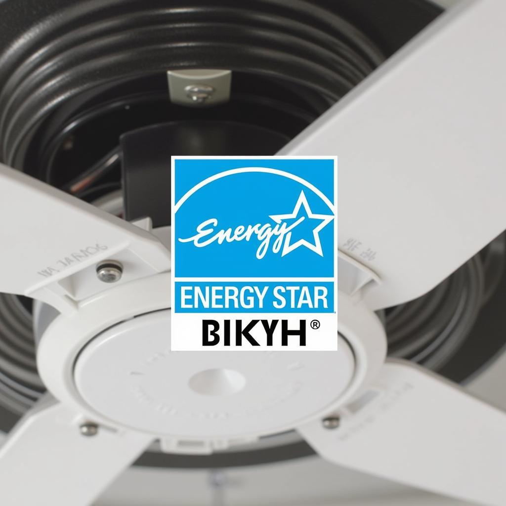 Energy-Efficient Exhaust Fan with ENERGY STAR Label