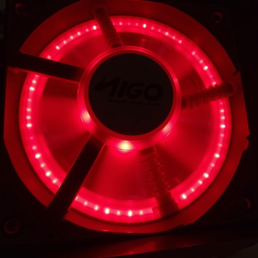 Fan Aigo Red Close-Up