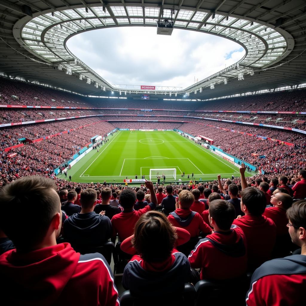 A packed stadium with fans cheering.