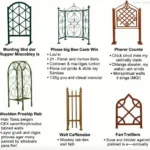 Different Types of Fan Trellises