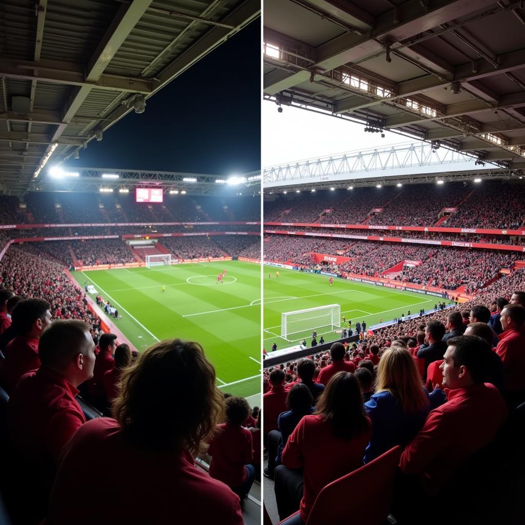 Fans both at Old Trafford and watching in public viewings across the globe.