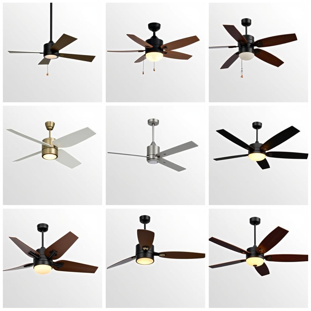 Modern Ceiling Fan Designs in India