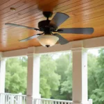 Outdoor Ceiling Fan - Moisture Resistant