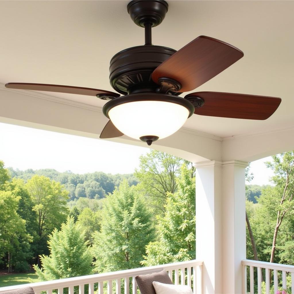 Outdoor Ceiling Fan on Patio