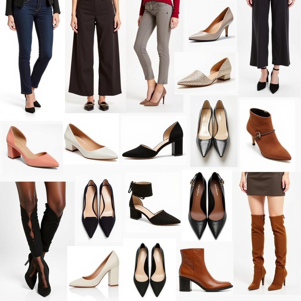 Showcase of different shoe styles for women