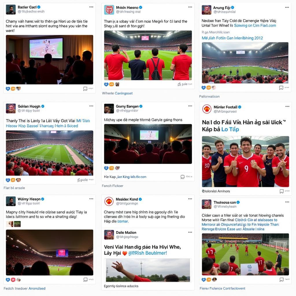 Vietnamese football fans connecting on social media